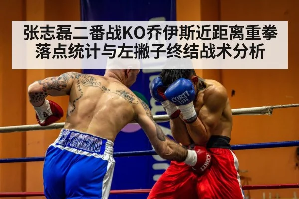 professional boxing match